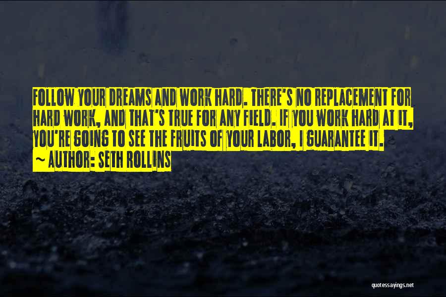 Seth Rollins Quotes: Follow Your Dreams And Work Hard. There's No Replacement For Hard Work, And That's True For Any Field. If You