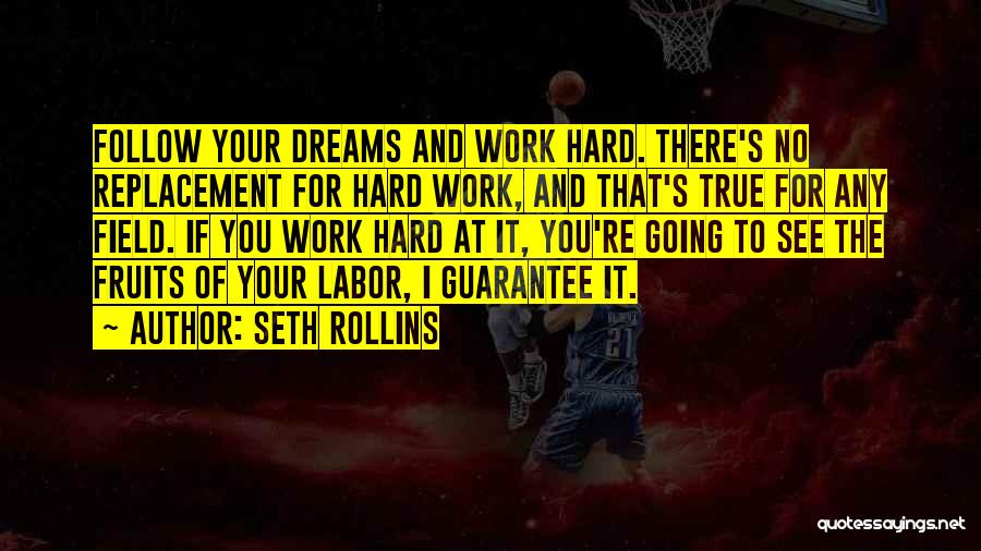 Seth Rollins Quotes: Follow Your Dreams And Work Hard. There's No Replacement For Hard Work, And That's True For Any Field. If You