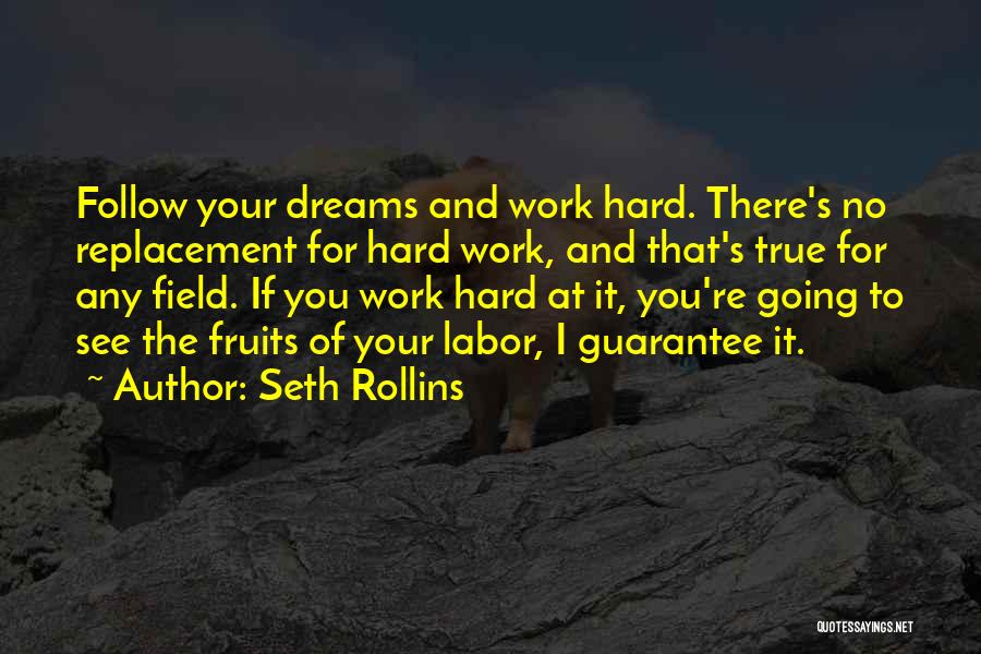 Seth Rollins Quotes: Follow Your Dreams And Work Hard. There's No Replacement For Hard Work, And That's True For Any Field. If You