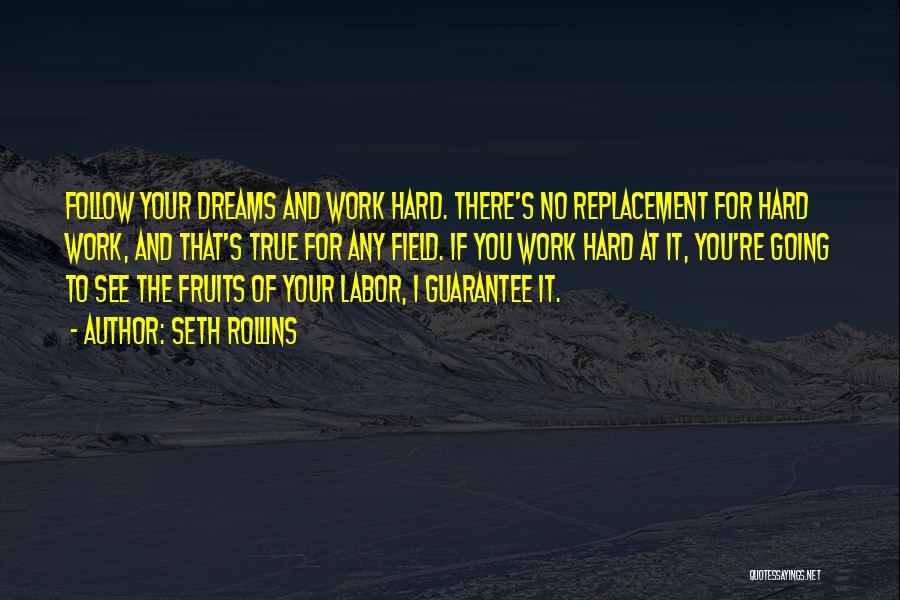 Seth Rollins Quotes: Follow Your Dreams And Work Hard. There's No Replacement For Hard Work, And That's True For Any Field. If You