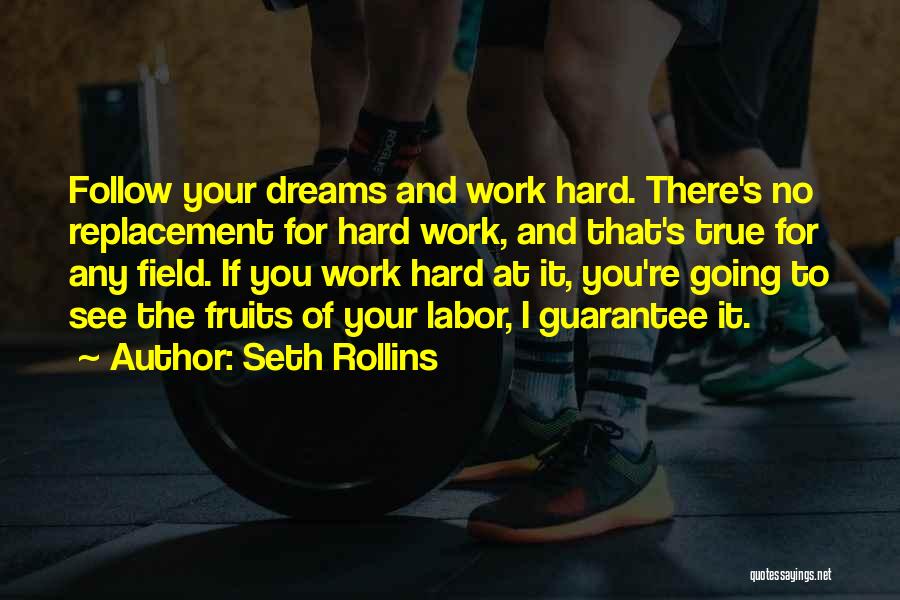 Seth Rollins Quotes: Follow Your Dreams And Work Hard. There's No Replacement For Hard Work, And That's True For Any Field. If You