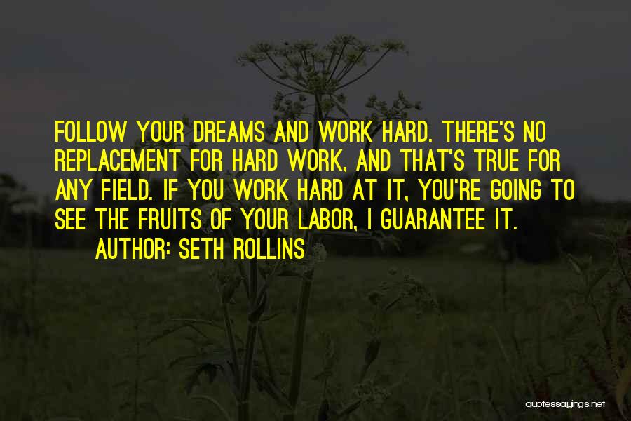 Seth Rollins Quotes: Follow Your Dreams And Work Hard. There's No Replacement For Hard Work, And That's True For Any Field. If You