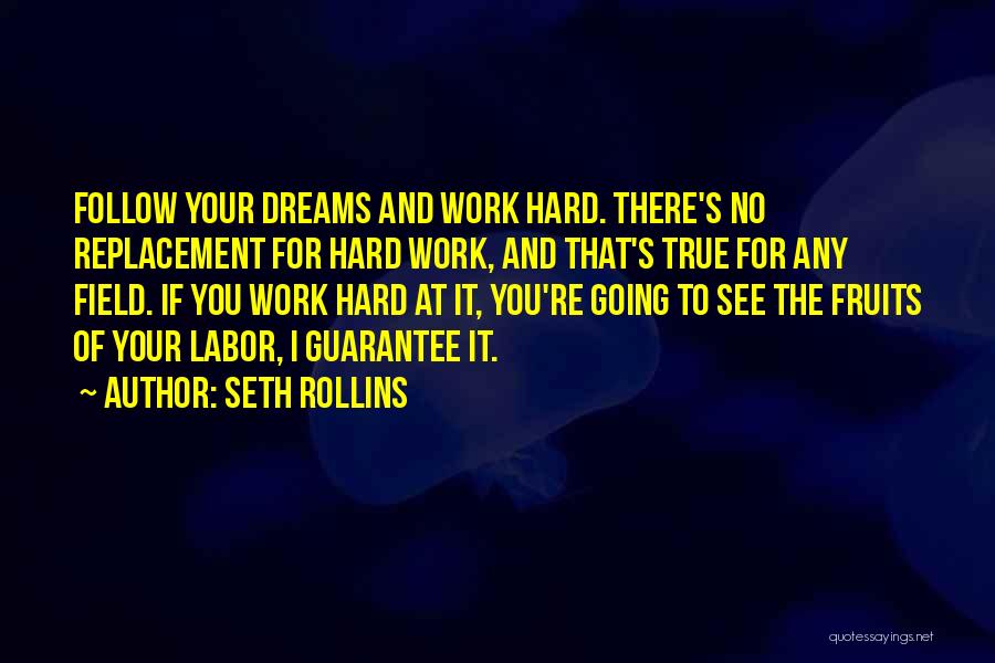 Seth Rollins Quotes: Follow Your Dreams And Work Hard. There's No Replacement For Hard Work, And That's True For Any Field. If You