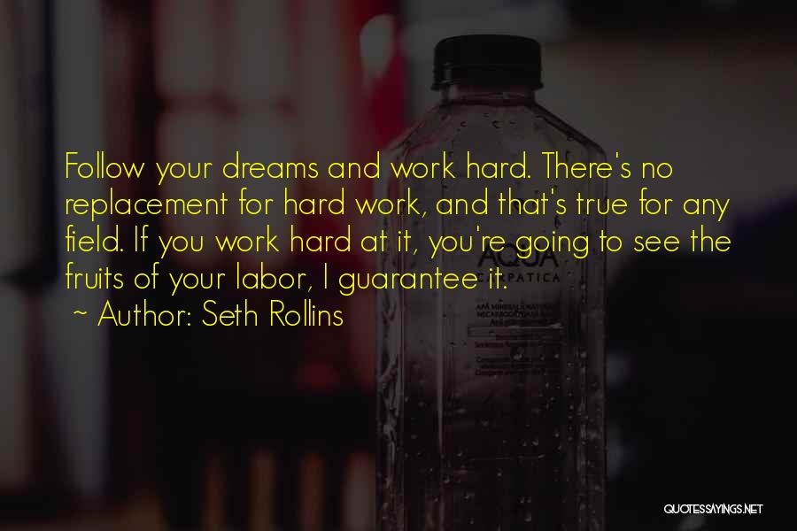 Seth Rollins Quotes: Follow Your Dreams And Work Hard. There's No Replacement For Hard Work, And That's True For Any Field. If You