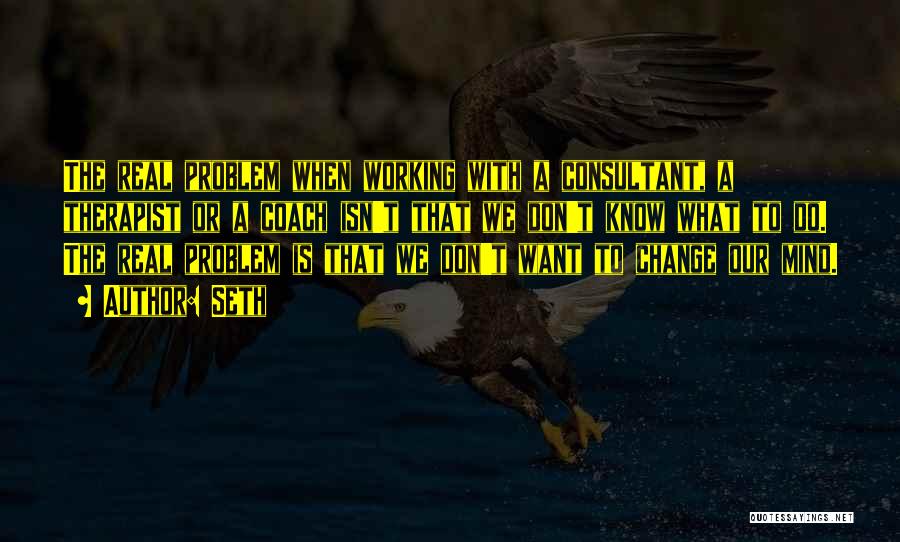 Seth Quotes: The Real Problem When Working With A Consultant, A Therapist Or A Coach Isn't That We Don't Know What To