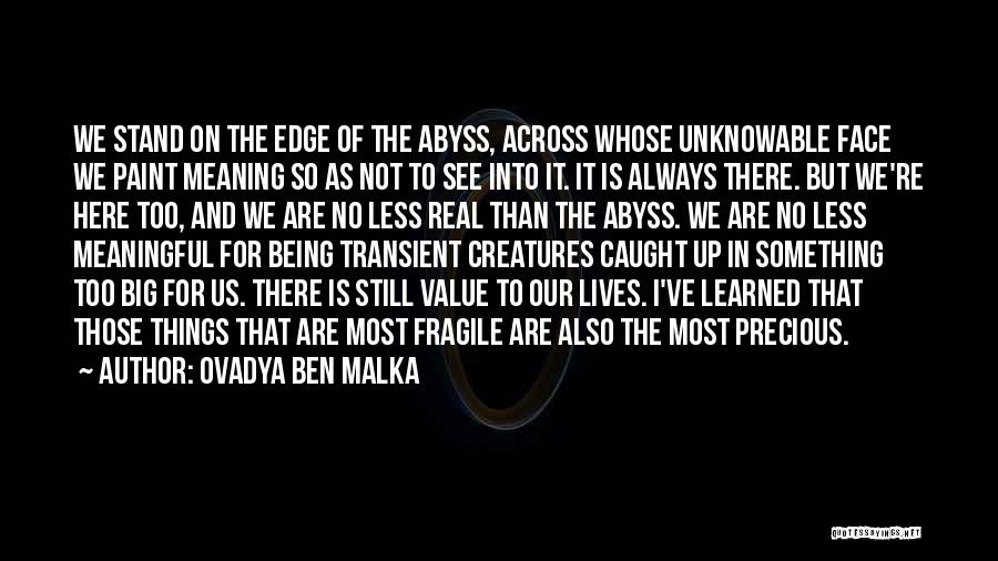 Ovadya Ben Malka Quotes: We Stand On The Edge Of The Abyss, Across Whose Unknowable Face We Paint Meaning So As Not To See