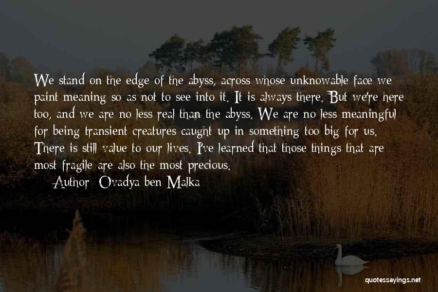 Ovadya Ben Malka Quotes: We Stand On The Edge Of The Abyss, Across Whose Unknowable Face We Paint Meaning So As Not To See