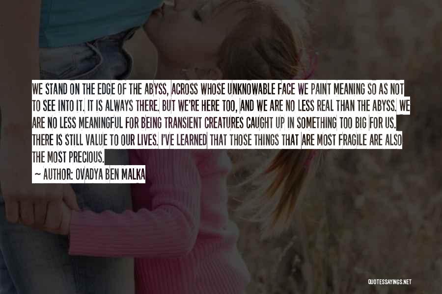 Ovadya Ben Malka Quotes: We Stand On The Edge Of The Abyss, Across Whose Unknowable Face We Paint Meaning So As Not To See