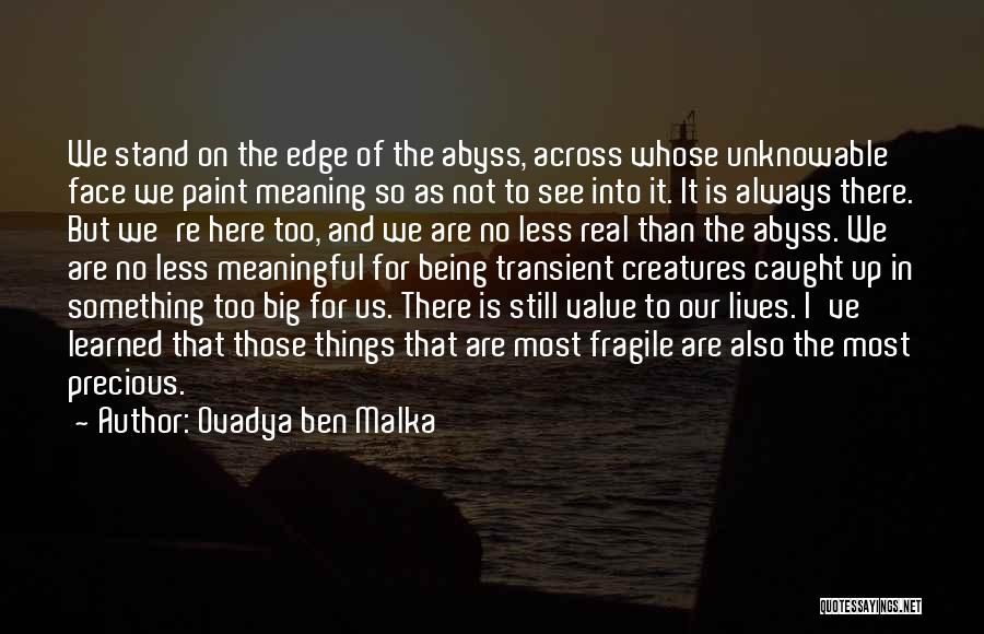 Ovadya Ben Malka Quotes: We Stand On The Edge Of The Abyss, Across Whose Unknowable Face We Paint Meaning So As Not To See