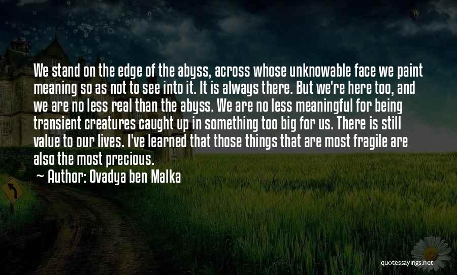 Ovadya Ben Malka Quotes: We Stand On The Edge Of The Abyss, Across Whose Unknowable Face We Paint Meaning So As Not To See