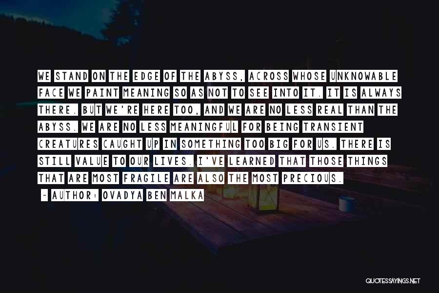 Ovadya Ben Malka Quotes: We Stand On The Edge Of The Abyss, Across Whose Unknowable Face We Paint Meaning So As Not To See