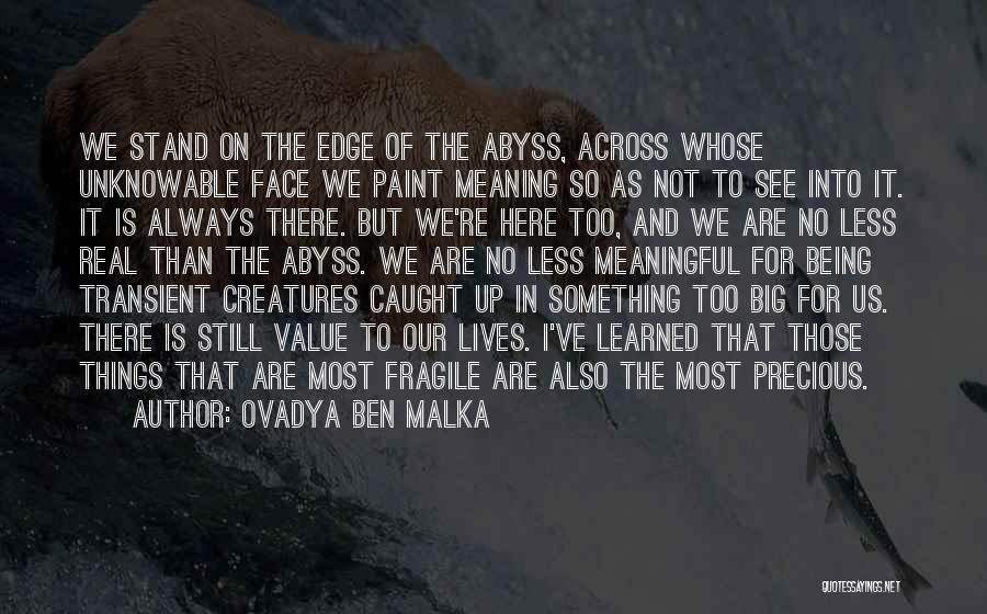 Ovadya Ben Malka Quotes: We Stand On The Edge Of The Abyss, Across Whose Unknowable Face We Paint Meaning So As Not To See