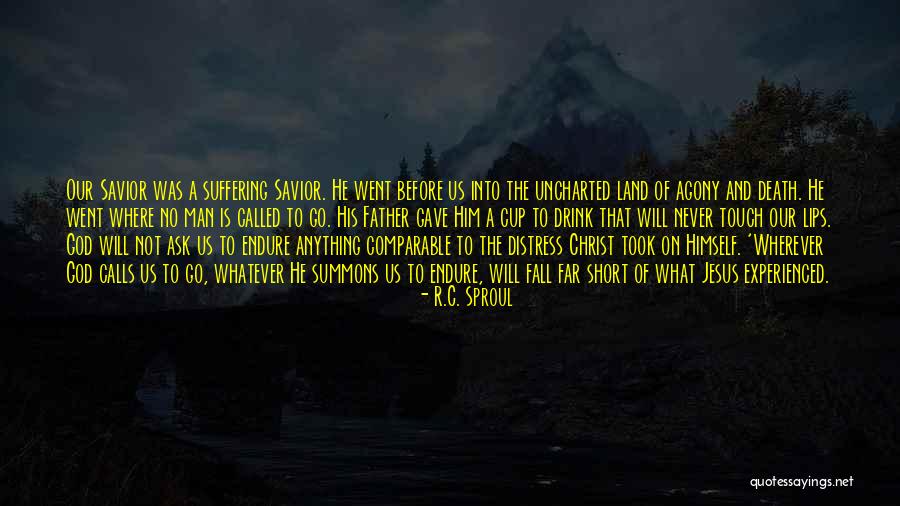 32 Billion Dollars Quotes By R.C. Sproul 32 Billion Dollars Quotes By R.C. Sproul