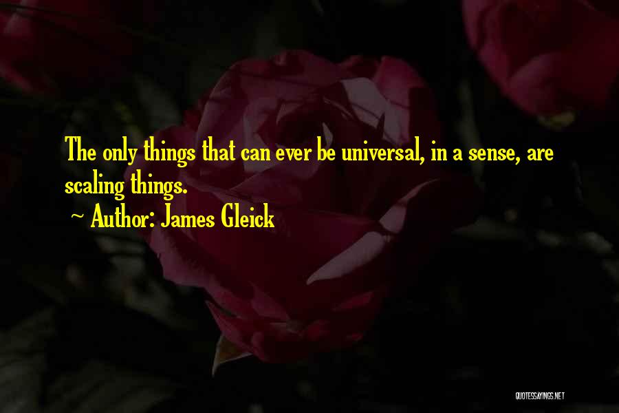 James Gleick Quotes: The Only Things That Can Ever Be Universal, In A Sense, Are Scaling Things.