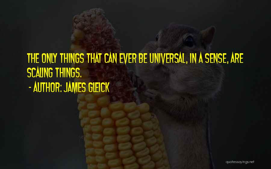 James Gleick Quotes: The Only Things That Can Ever Be Universal, In A Sense, Are Scaling Things.