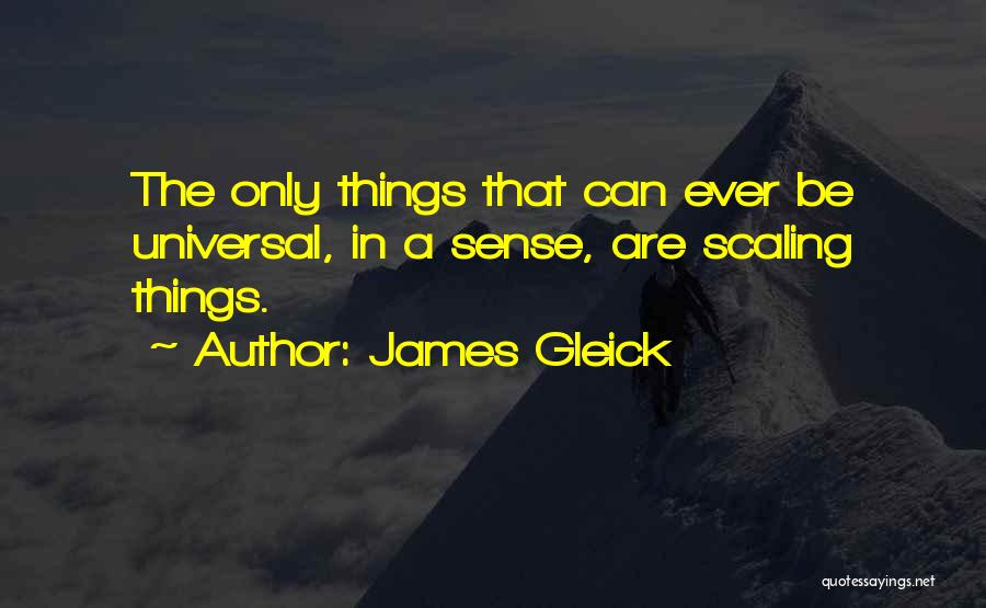 James Gleick Quotes: The Only Things That Can Ever Be Universal, In A Sense, Are Scaling Things.