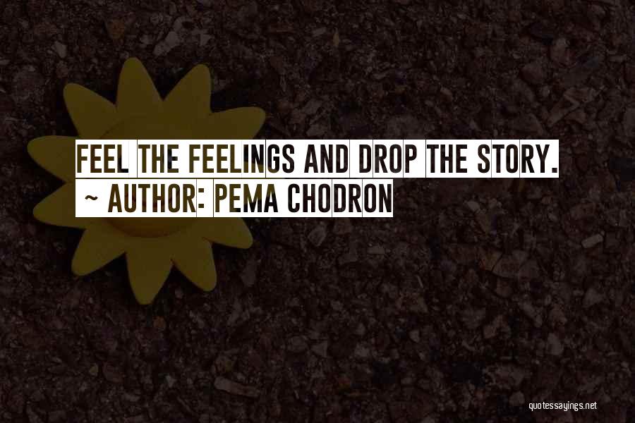 Pema Chodron Quotes: Feel The Feelings And Drop The Story.