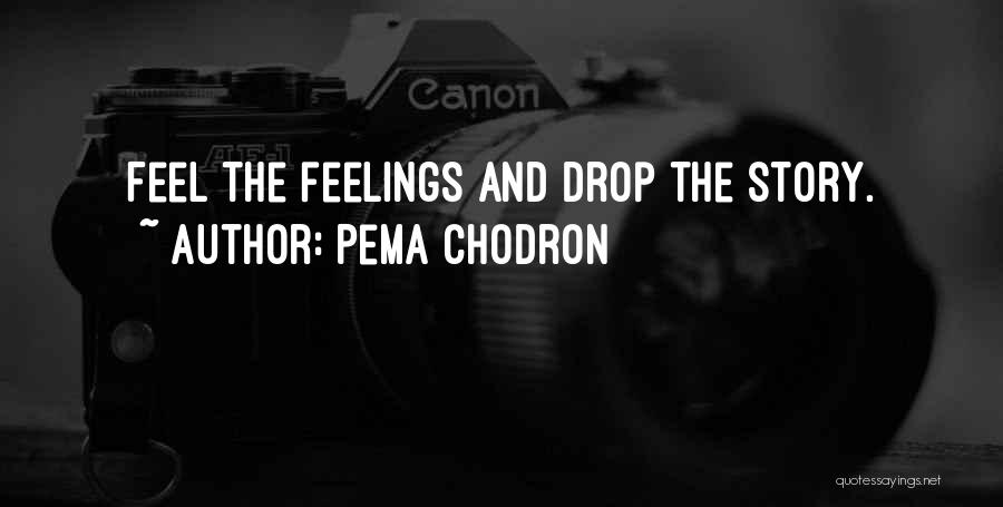 Pema Chodron Quotes: Feel The Feelings And Drop The Story.