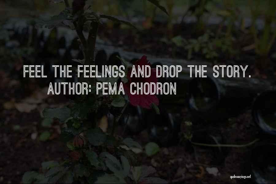 Pema Chodron Quotes: Feel The Feelings And Drop The Story.