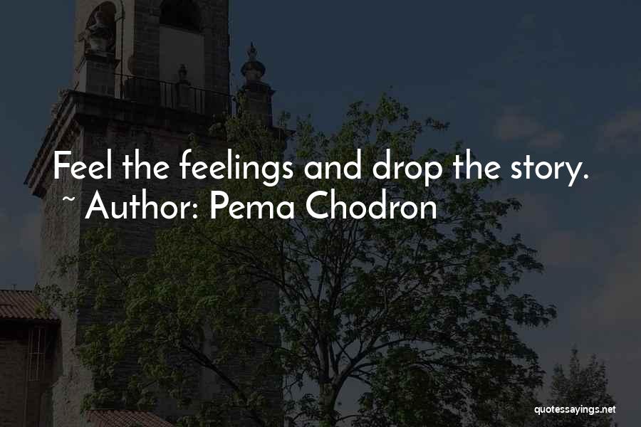 Pema Chodron Quotes: Feel The Feelings And Drop The Story.