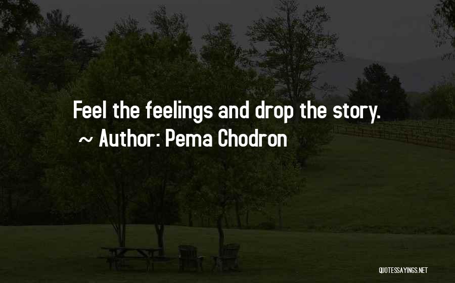 Pema Chodron Quotes: Feel The Feelings And Drop The Story.