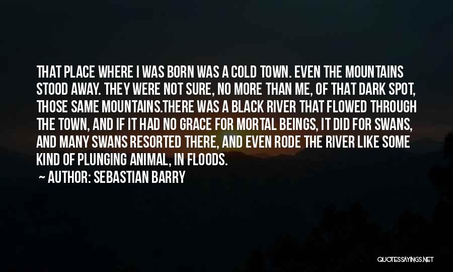 Sebastian Barry Quotes: That Place Where I Was Born Was A Cold Town. Even The Mountains Stood Away. They Were Not Sure, No