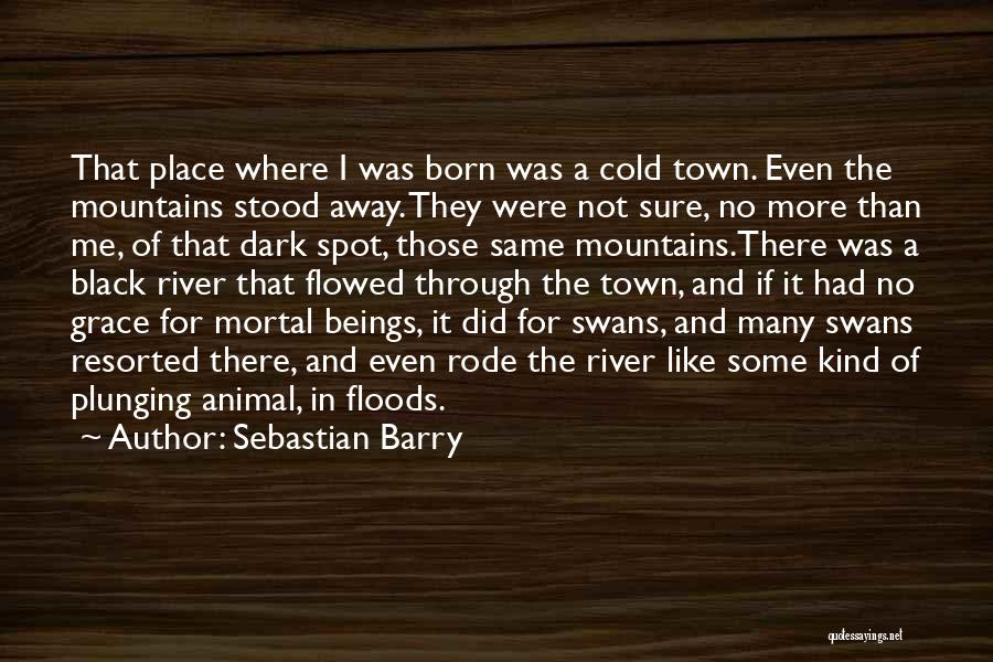 Sebastian Barry Quotes: That Place Where I Was Born Was A Cold Town. Even The Mountains Stood Away. They Were Not Sure, No