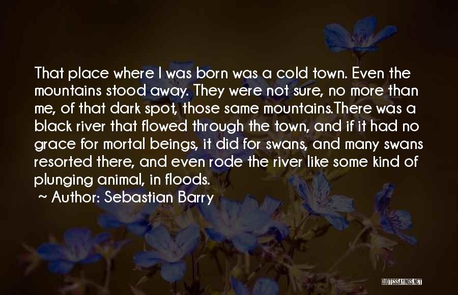 Sebastian Barry Quotes: That Place Where I Was Born Was A Cold Town. Even The Mountains Stood Away. They Were Not Sure, No