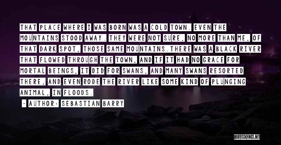 Sebastian Barry Quotes: That Place Where I Was Born Was A Cold Town. Even The Mountains Stood Away. They Were Not Sure, No