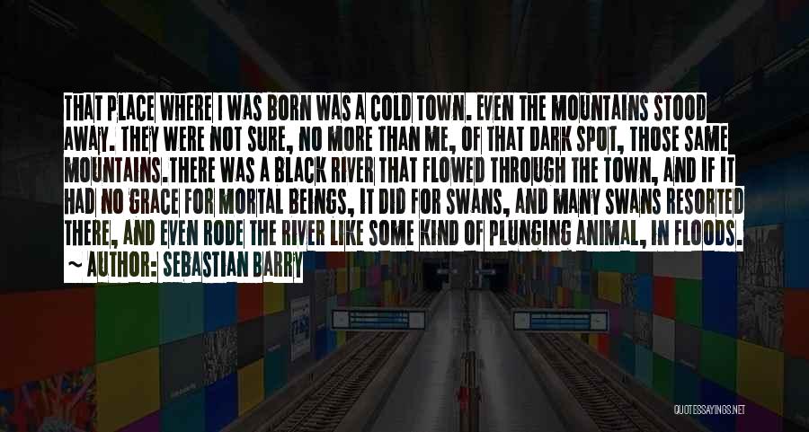 Sebastian Barry Quotes: That Place Where I Was Born Was A Cold Town. Even The Mountains Stood Away. They Were Not Sure, No