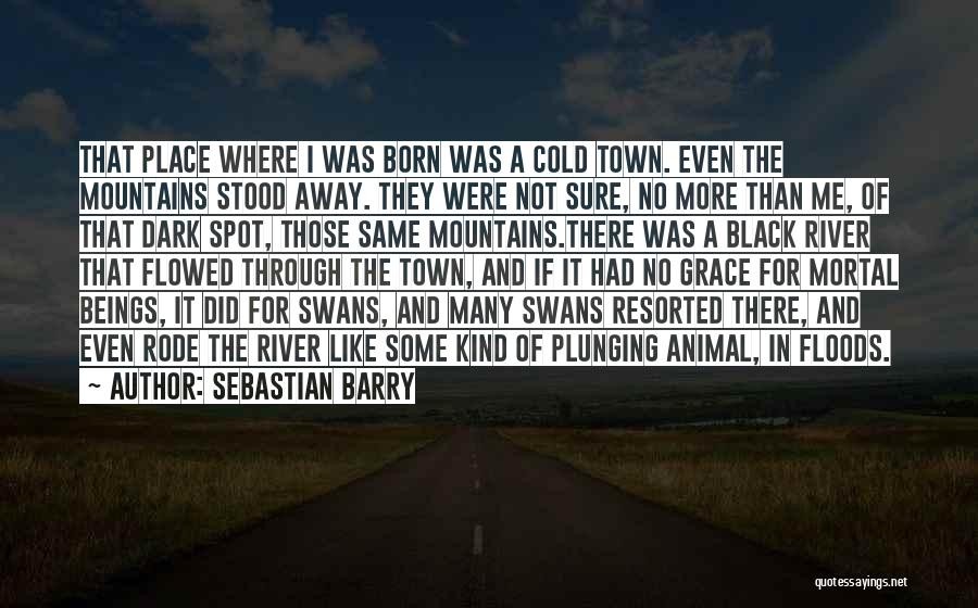 Sebastian Barry Quotes: That Place Where I Was Born Was A Cold Town. Even The Mountains Stood Away. They Were Not Sure, No