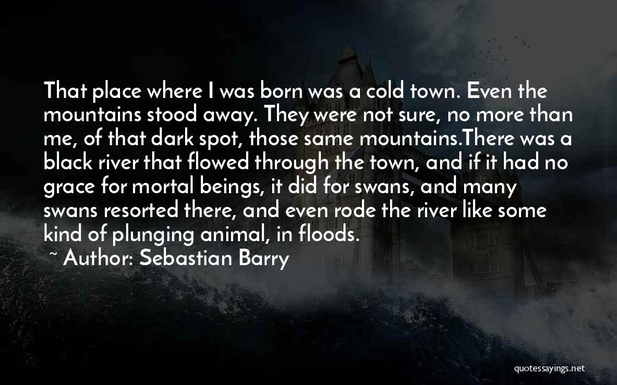 Sebastian Barry Quotes: That Place Where I Was Born Was A Cold Town. Even The Mountains Stood Away. They Were Not Sure, No