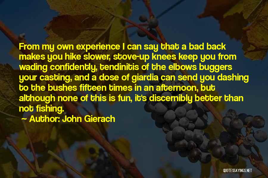 John Gierach Quotes: From My Own Experience I Can Say That A Bad Back Makes You Hike Slower, Stove-up Knees Keep You From