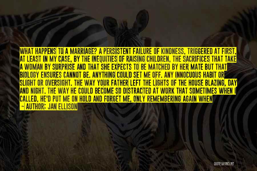 Jan Ellison Quotes: What Happens To A Marriage? A Persistent Failure Of Kindness, Triggered At First, At Least In My Case, By The