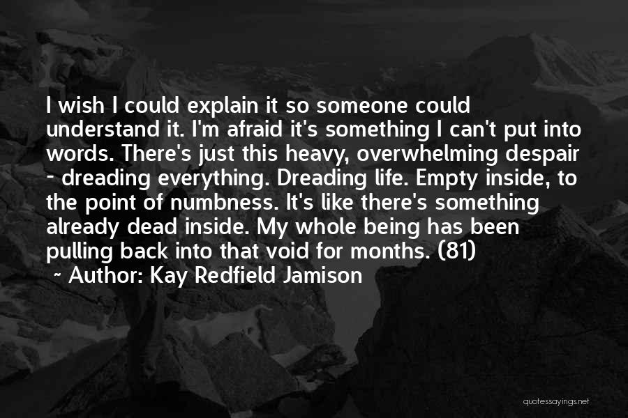 Kay Redfield Jamison Quotes: I Wish I Could Explain It So Someone Could Understand It. I'm Afraid It's Something I Can't Put Into Words.