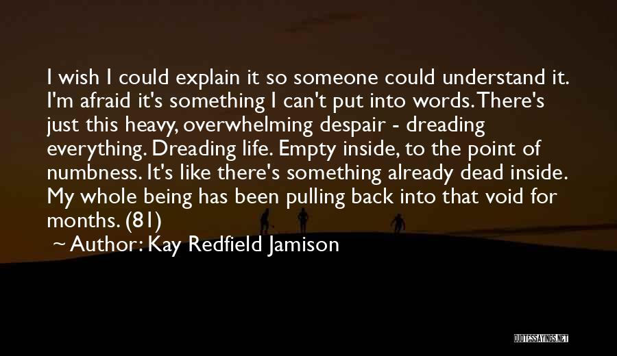 Kay Redfield Jamison Quotes: I Wish I Could Explain It So Someone Could Understand It. I'm Afraid It's Something I Can't Put Into Words.