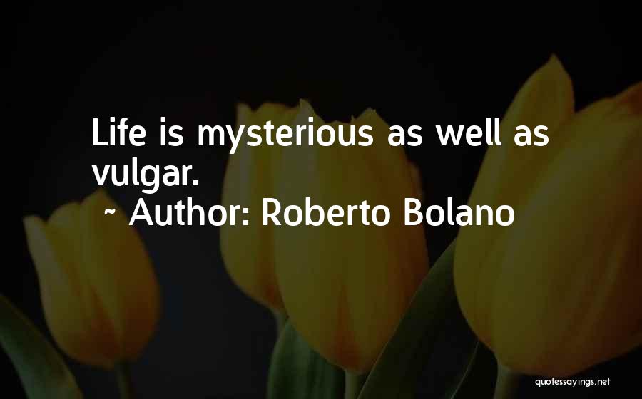 Roberto Bolano Quotes: Life Is Mysterious As Well As Vulgar.