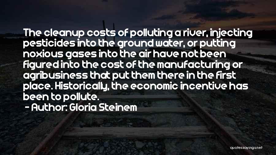 Gloria Steinem Quotes: The Cleanup Costs Of Polluting A River, Injecting Pesticides Into The Ground Water, Or Putting Noxious Gases Into The Air