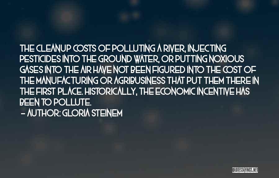 Gloria Steinem Quotes: The Cleanup Costs Of Polluting A River, Injecting Pesticides Into The Ground Water, Or Putting Noxious Gases Into The Air