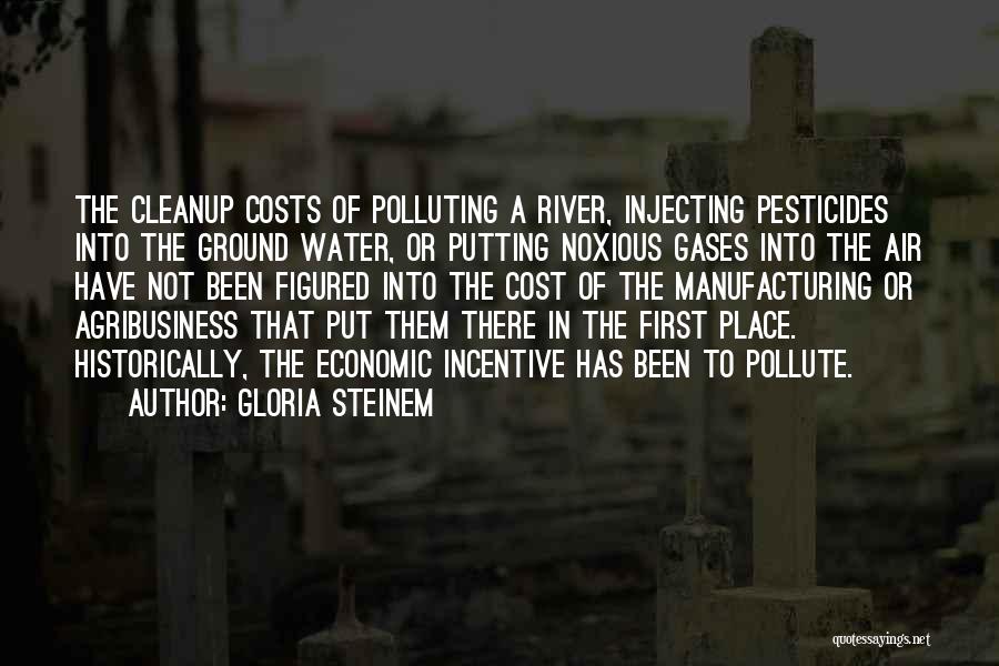 Gloria Steinem Quotes: The Cleanup Costs Of Polluting A River, Injecting Pesticides Into The Ground Water, Or Putting Noxious Gases Into The Air