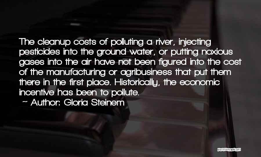 Gloria Steinem Quotes: The Cleanup Costs Of Polluting A River, Injecting Pesticides Into The Ground Water, Or Putting Noxious Gases Into The Air