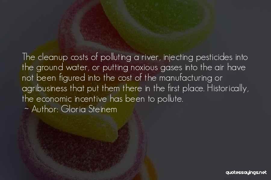 Gloria Steinem Quotes: The Cleanup Costs Of Polluting A River, Injecting Pesticides Into The Ground Water, Or Putting Noxious Gases Into The Air