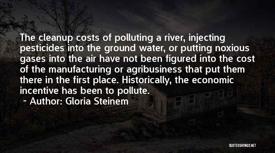 Gloria Steinem Quotes: The Cleanup Costs Of Polluting A River, Injecting Pesticides Into The Ground Water, Or Putting Noxious Gases Into The Air