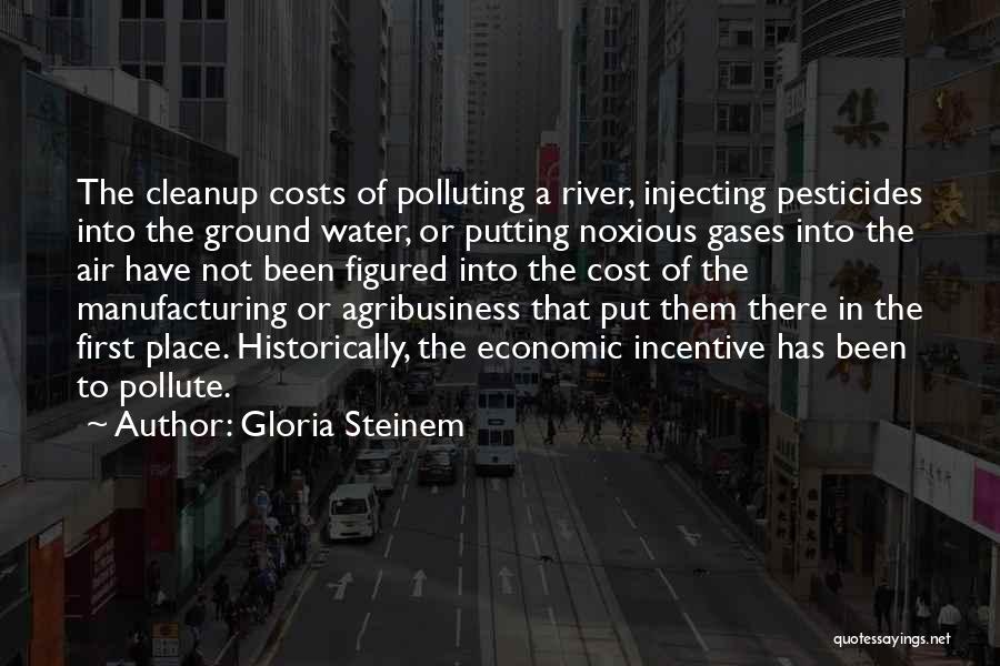 Gloria Steinem Quotes: The Cleanup Costs Of Polluting A River, Injecting Pesticides Into The Ground Water, Or Putting Noxious Gases Into The Air