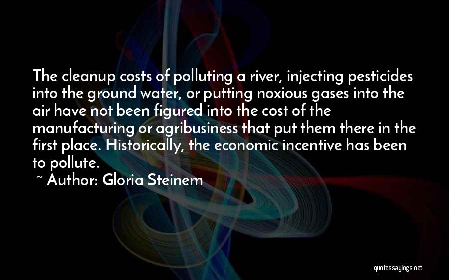 Gloria Steinem Quotes: The Cleanup Costs Of Polluting A River, Injecting Pesticides Into The Ground Water, Or Putting Noxious Gases Into The Air