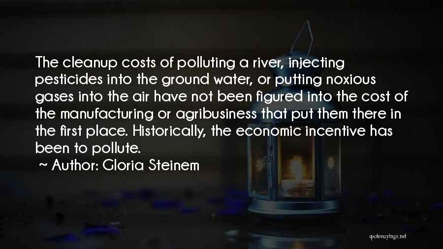 Gloria Steinem Quotes: The Cleanup Costs Of Polluting A River, Injecting Pesticides Into The Ground Water, Or Putting Noxious Gases Into The Air