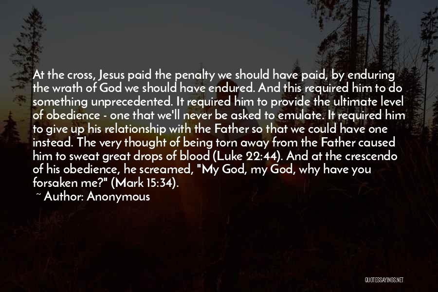 Anonymous Quotes: At The Cross, Jesus Paid The Penalty We Should Have Paid, By Enduring The Wrath Of God We Should Have