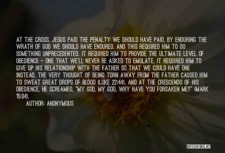 Anonymous Quotes: At The Cross, Jesus Paid The Penalty We Should Have Paid, By Enduring The Wrath Of God We Should Have