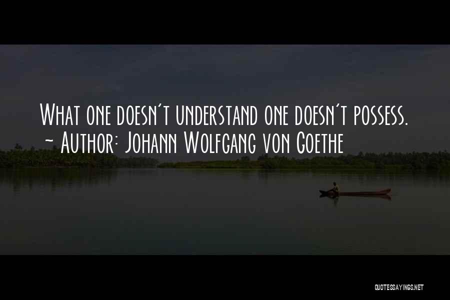 Johann Wolfgang Von Goethe Quotes: What One Doesn't Understand One Doesn't Possess.