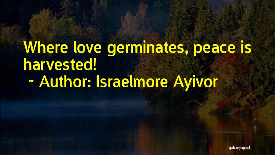 Israelmore Ayivor Quotes: Where Love Germinates, Peace Is Harvested!